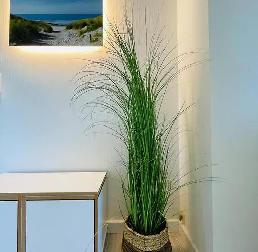 Appartement Duene 77 Moderne Baltrum